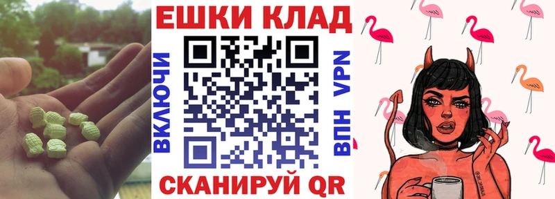 дарнет шоп  Змеиногорск  Ecstasy louis Vuitton 