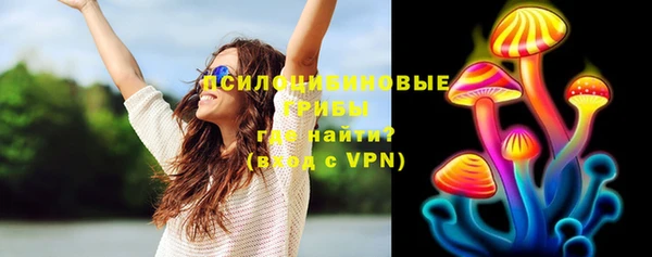 стаф Верхний Тагил