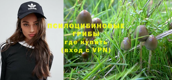 ПСИЛОЦИБИНОВЫЕ ГРИБЫ Волоколамск