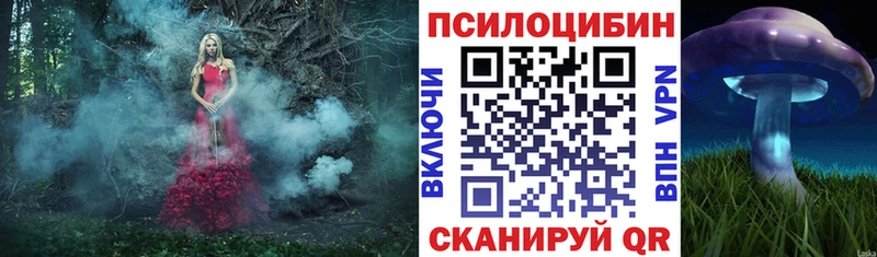 Псилоцибиновые грибы Psilocybe  Змеиногорск 