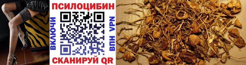 Галлюциногенные грибы Cubensis Змеиногорск